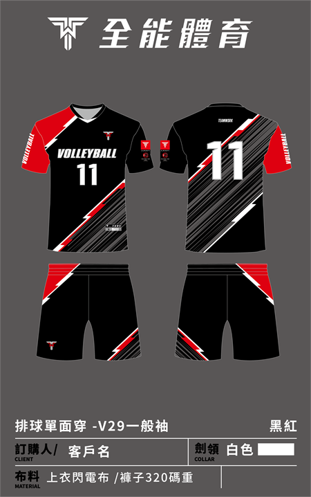 Volleyball-V29